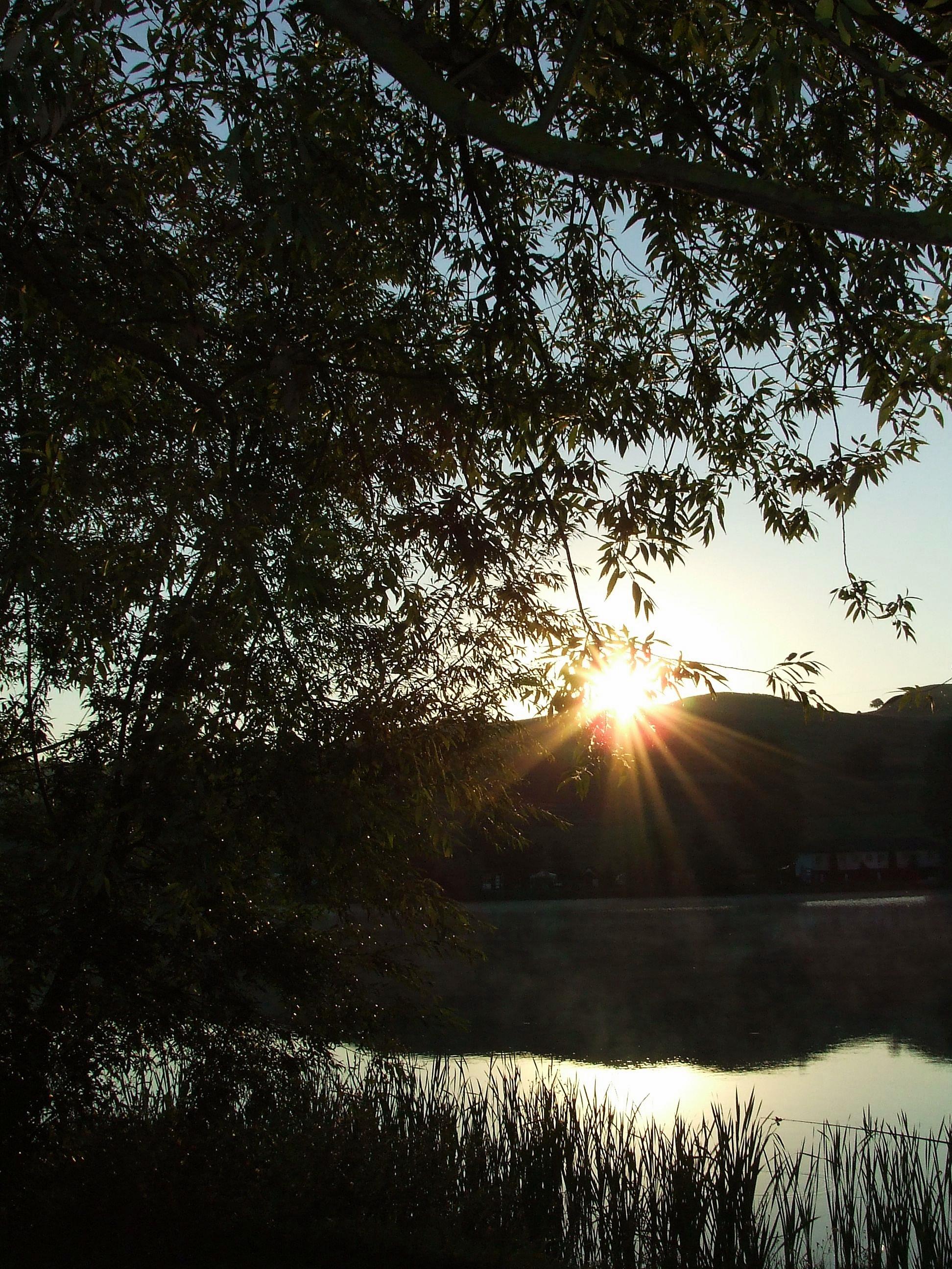 Pescuit 2015 Vol.I. - 3.JPG